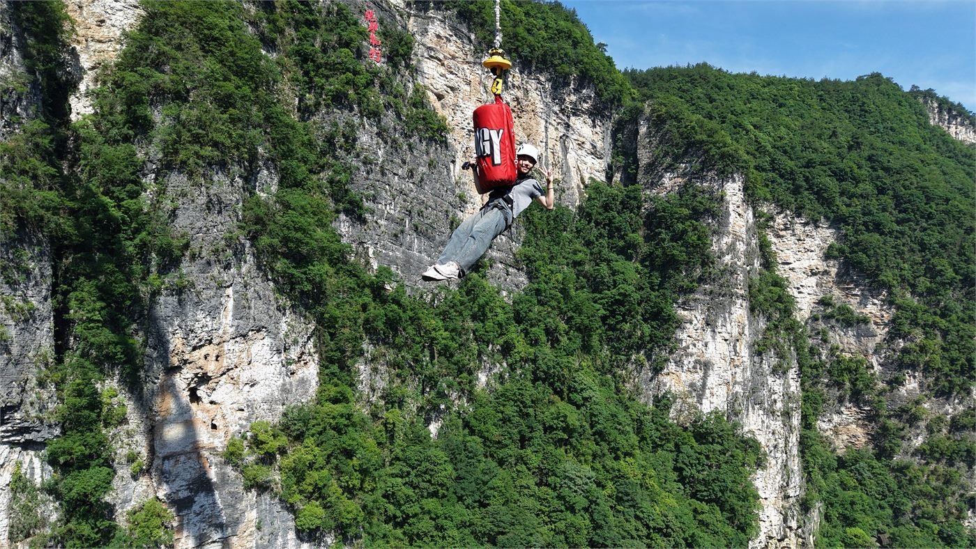 bungee