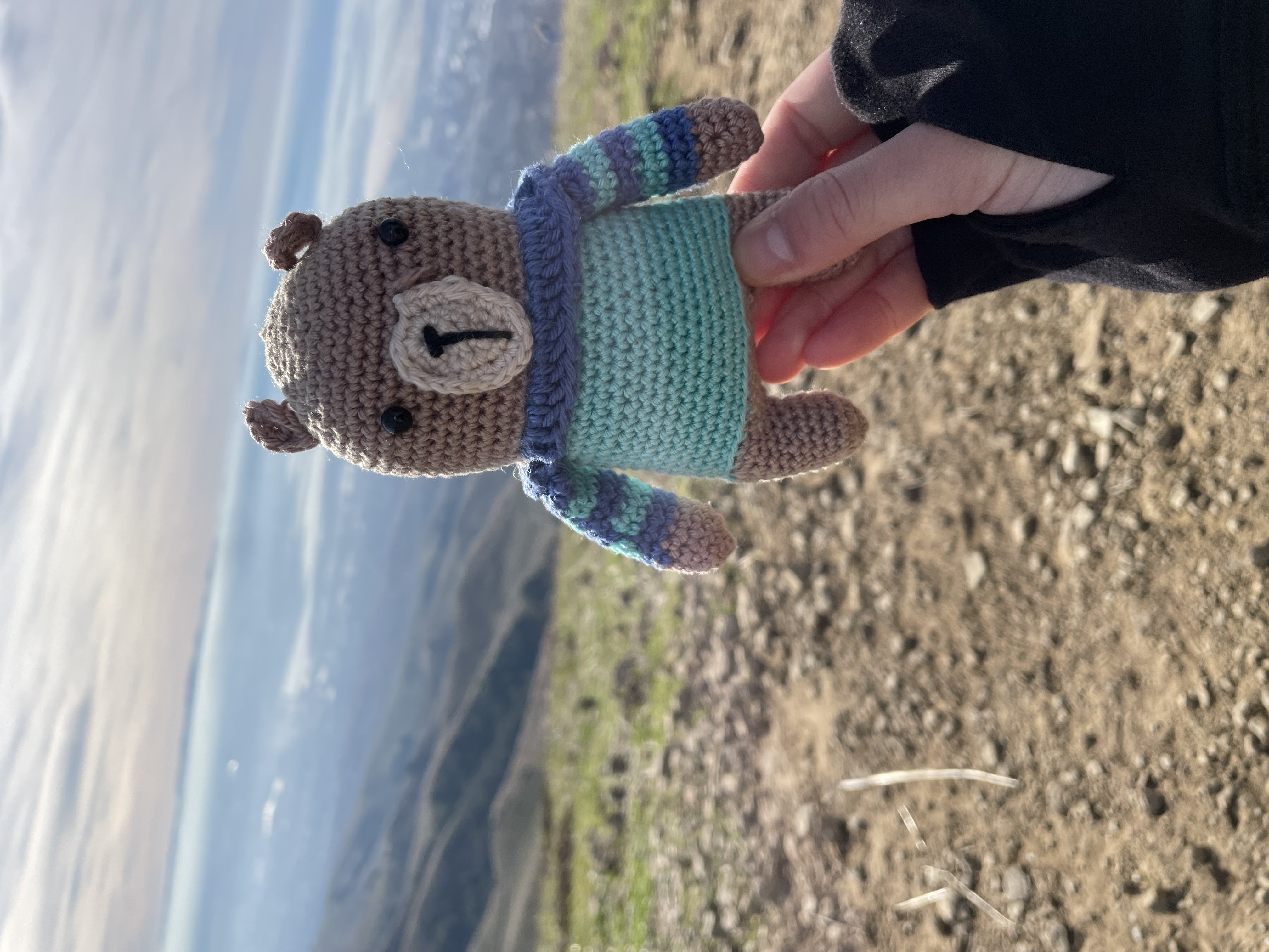 bear